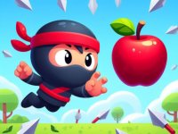 Flip Ninja Online Arcade Game