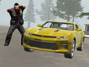 Suburbs Zombie Driving Online Arcade Game