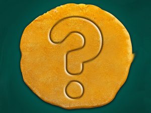 Squid Fan Test Quiz Game Trivia Game