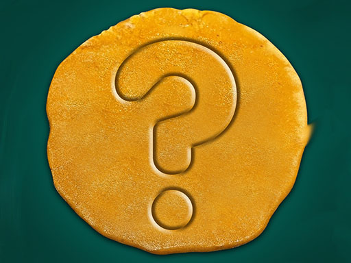 Squid Fan Test Quiz Game Trivia Game