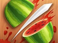 Fruit Slicer Arcade Game