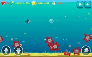 Ocean Explorer: Shark Journey